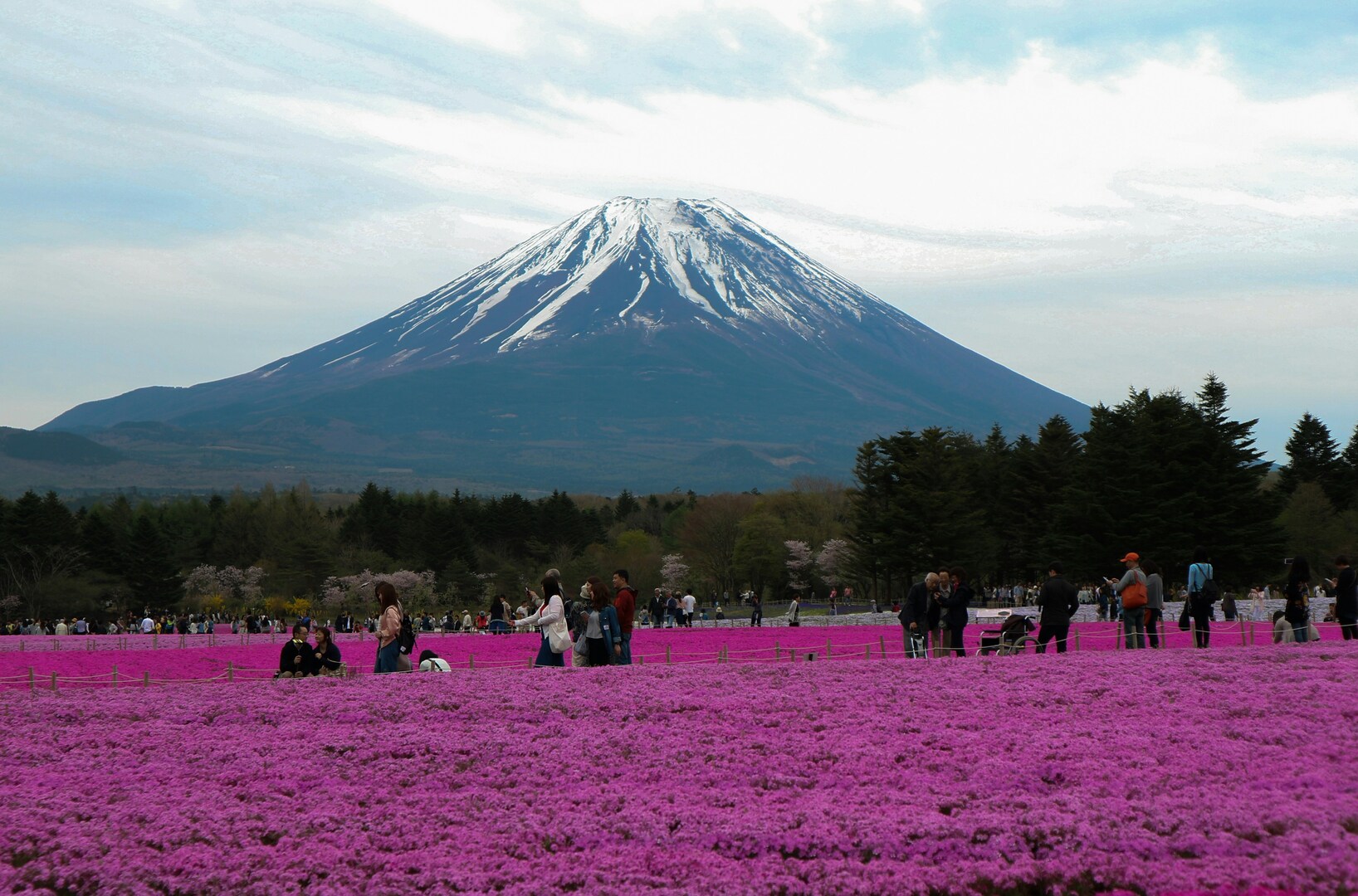 Mount Fuji Cultural and Traditional View