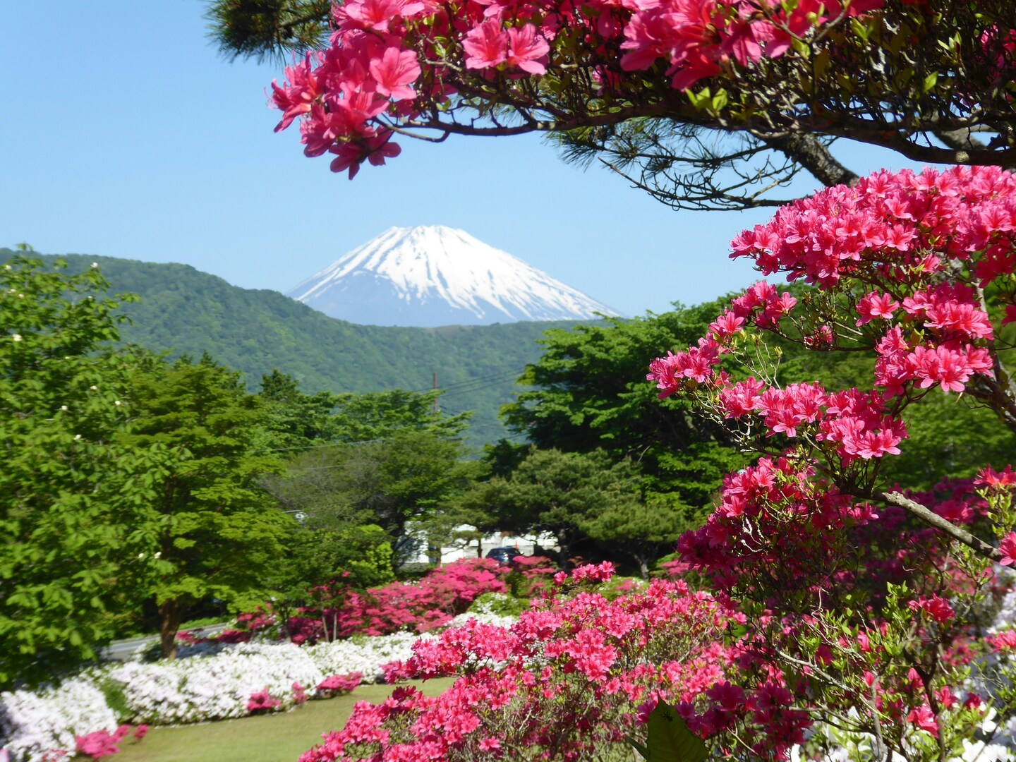 Mount Fuji Day Trip